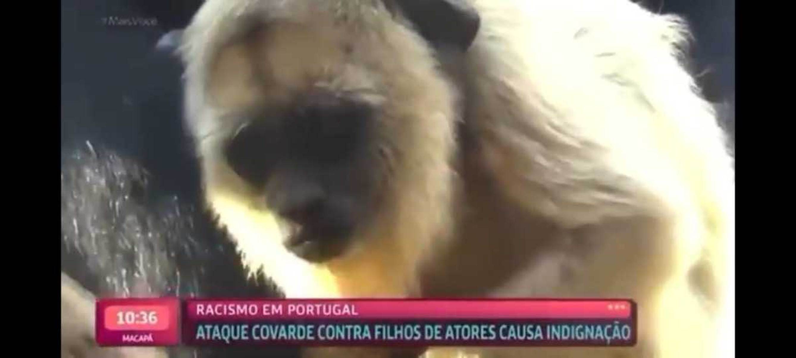 As várias formas de sermos chamadas de macaca