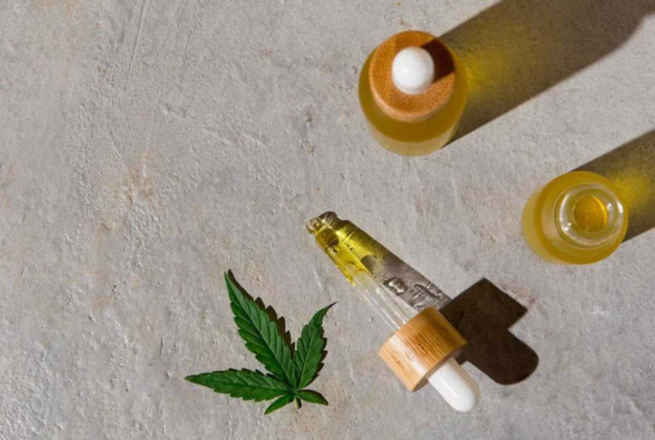 Humanização fortalece adesão ao tratamento com Cannabis medicinal no Brasil