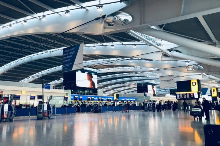 Mulher é presa após matar o próprio cão em aeroporto dos EUA - Belinda Fewings/Unsplash