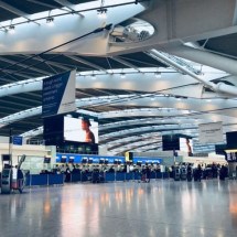Mulher é presa após matar o próprio cachorro em aeroporto dos EUA - Belinda Fewings/Unsplash