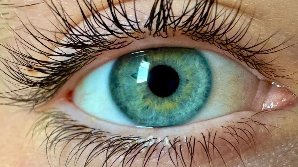 Cientistas dizem ter encontrado cor que nunca foi vista antes - Imagem: Getty Images