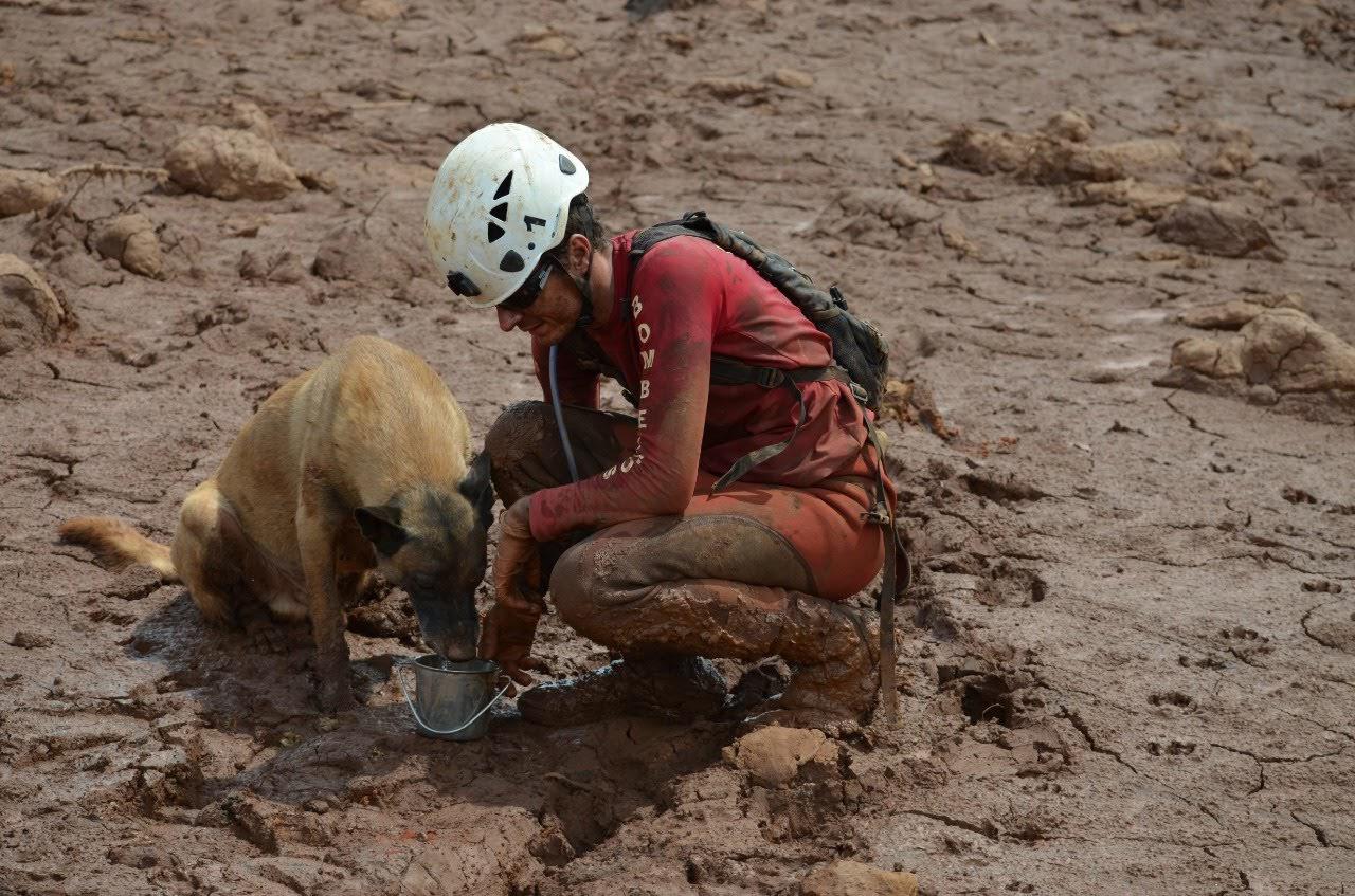 Bombeiro em meio a lama em Brumadinho  - 
